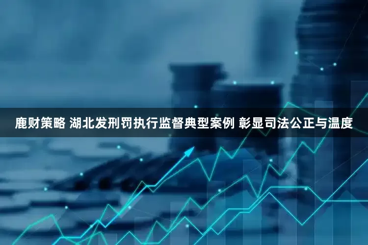 鹿财策略 湖北发刑罚执行监督典型案例 彰显司法公正与温度